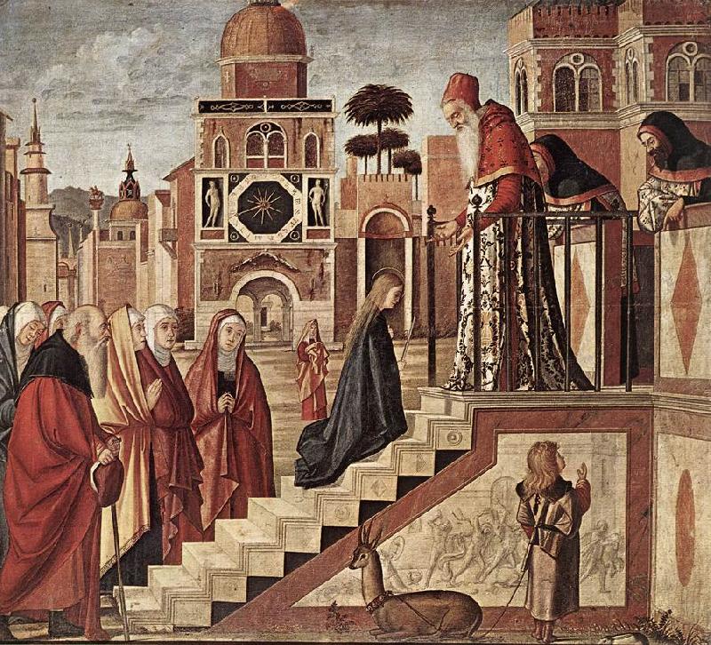 CARPACCIO, Vittore The Presentation of the Virgin fdg Norge oil painting art